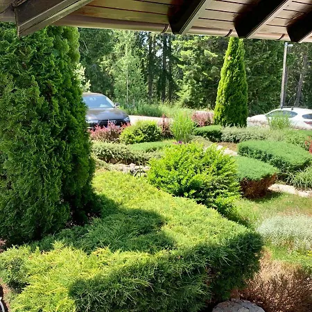 Darija Zlatar - Lux Br. 5