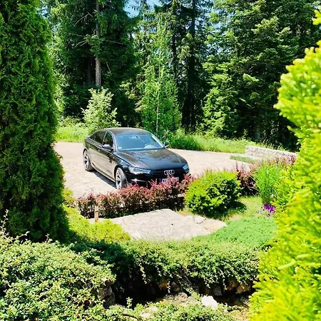 Darija Zlatar - Lux Br. 5 *