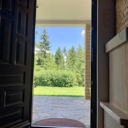 Darija Zlatar - Lux Br. 5 *