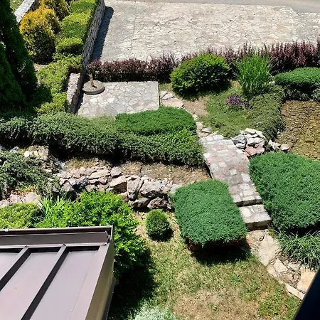 Darija Zlatar - Lux Br. 5 * Nova Varoš